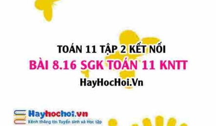 Bài 8.16 SGK Toán 11 Tập 2 Kết nối tri thức